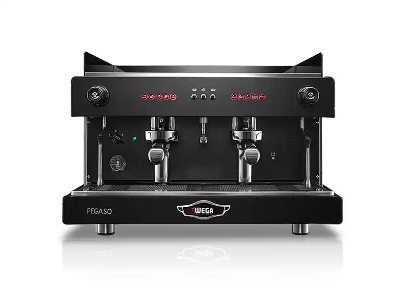 Wega Pegaso 2 Group – mặt trước hai group