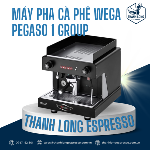 Wega Pegaso A1 1 Group chính hãng