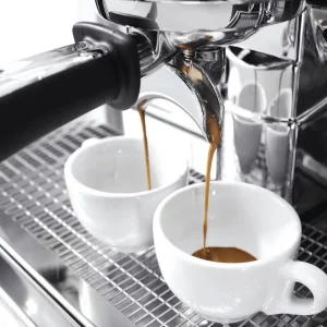Wega Pegaso A1 1 Group chính hãng - Ảnh 4