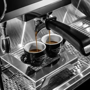 Wega Pegaso A1 1 Group chính hãng - Ảnh 5
