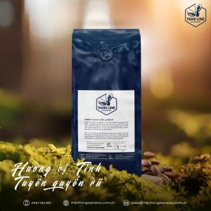 Cà phê hạt rang Espresso cho quán